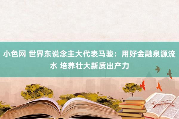 小色网 世界东说念主大代表马骏：用好金融泉源流水 培养壮大新质出产力