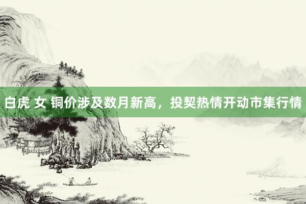 白虎 女 铜价涉及数月新高，投契热情开动市集行情