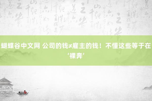 蝴蝶谷中文网 公司的钱≠雇主的钱！不懂这些等于在‘裸奔’