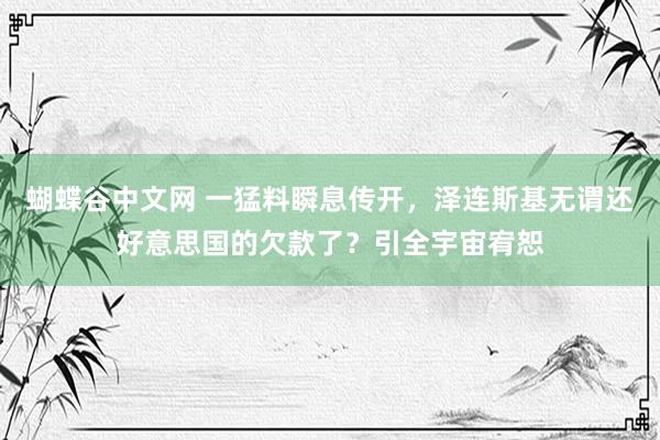 蝴蝶谷中文网 一猛料瞬息传开，泽连斯基无谓还好意思国的欠款了？引全宇宙宥恕