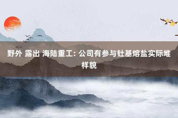 野外 露出 海陆重工: 公司有参与钍基熔盐实际堆样貌