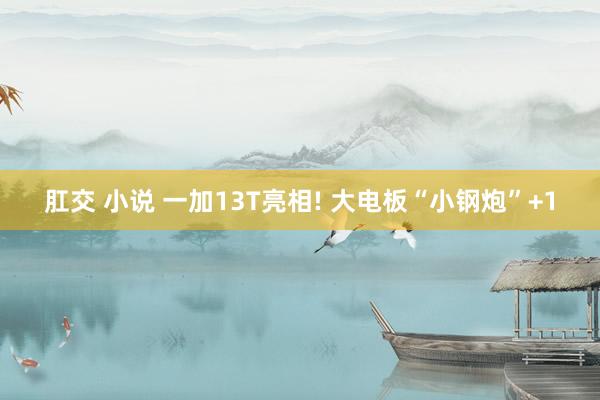 肛交 小说 一加13T亮相! 大电板“小钢炮”+1