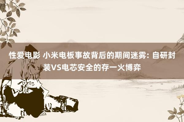 性爱电影 小米电板事故背后的期间迷雾: 自研封装VS电芯安全的存一火博弈