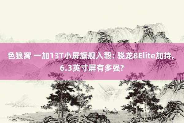 色狼窝 一加13T小屏旗舰入彀: 骁龙8Elite加持， 6.3英寸屏有多强?