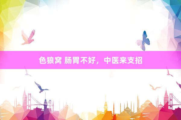 色狼窝 肠胃不好，中医来支招
