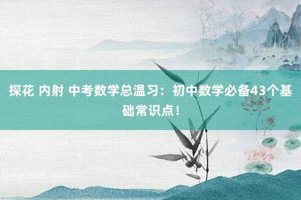 探花 内射 中考数学总温习：初中数学必备43个基础常识点！