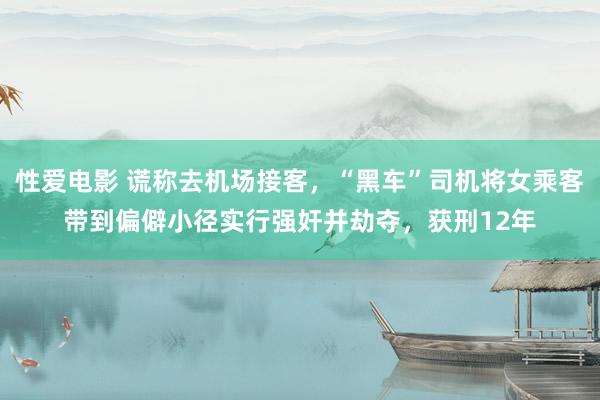 性爱电影 谎称去机场接客，“黑车”司机将女乘客带到偏僻小径实行强奸并劫夺，获刑12年