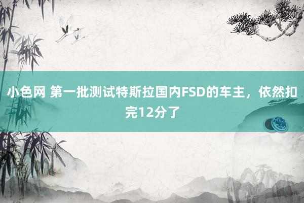 小色网 第一批测试特斯拉国内FSD的车主，依然扣完12分了